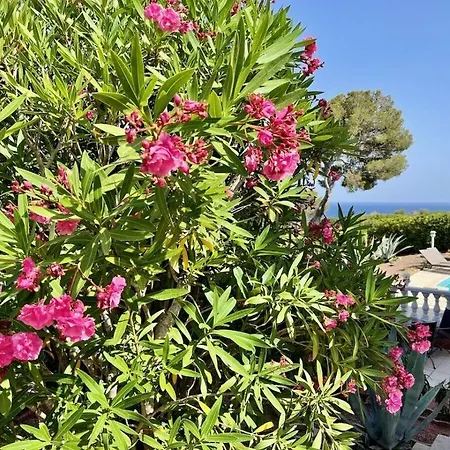 Hibiscus Comfortable Tatil Evi Saint-Raphaël
